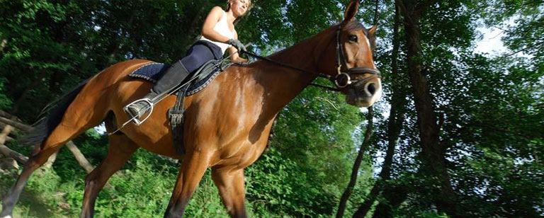 Cycling & horse riding