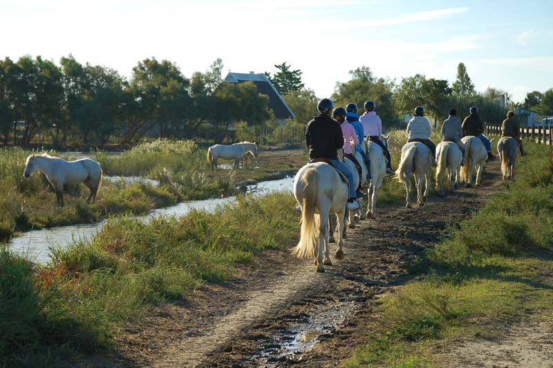 La Camargue